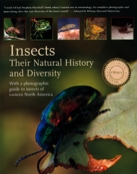 17 Insects.jpg