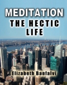 Cover The Hectic Life 590x750.jpg